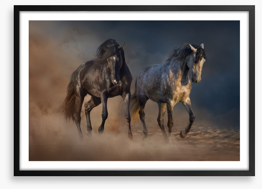 Horses in the desert dust