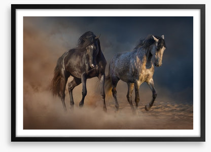 Horses in the desert dust