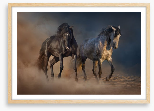 Horses in the desert dust