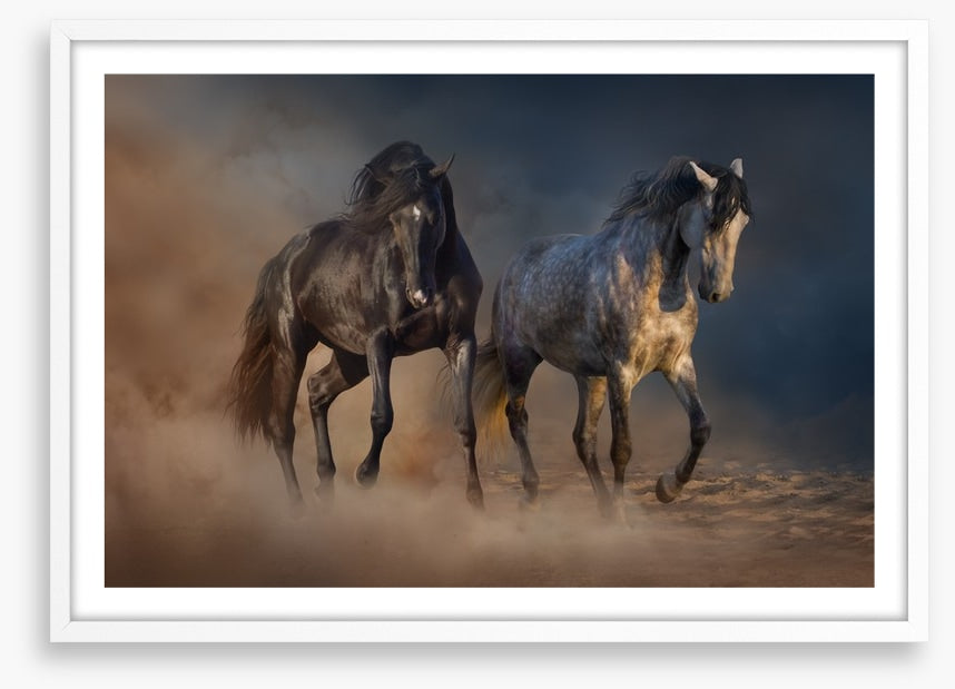 Horses in the desert dust