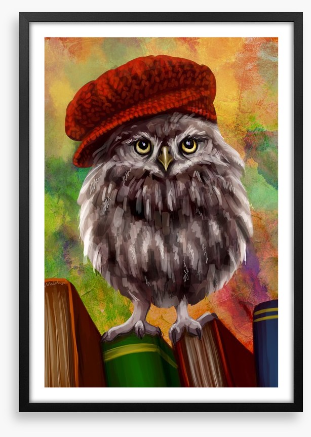 Bookish owl