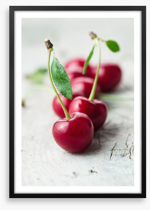 Sour cherry