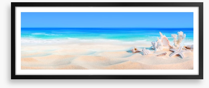 Seashells panorama