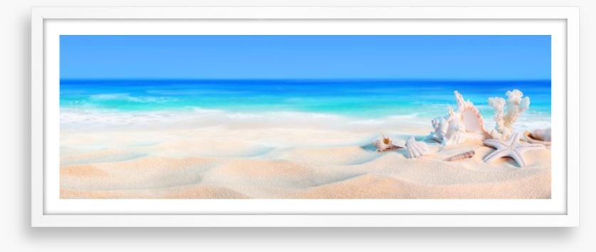 Seashells panorama
