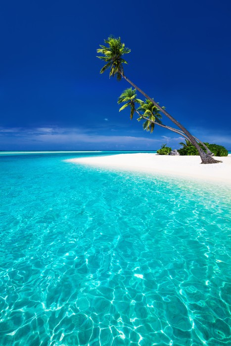 The blue lagoon