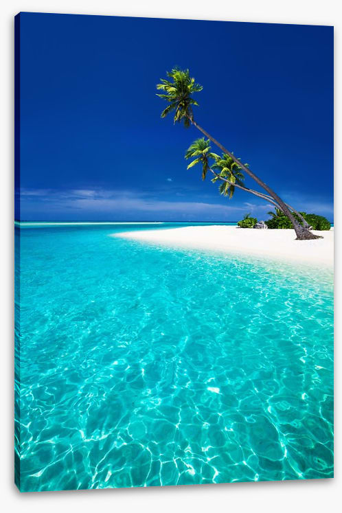 The blue lagoon