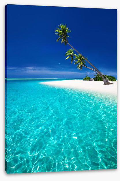 The blue lagoon
