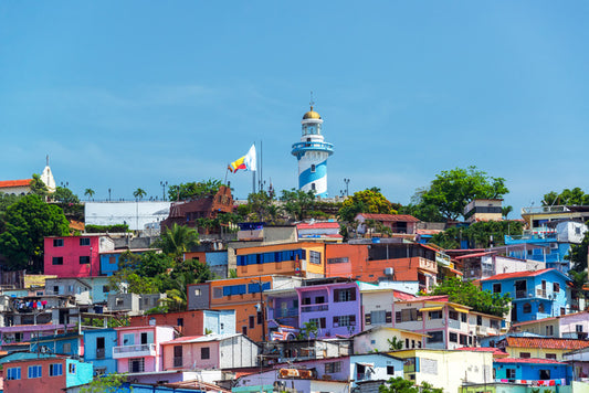 South America