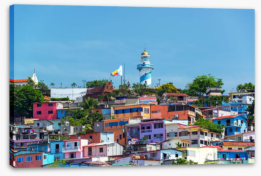 South America
