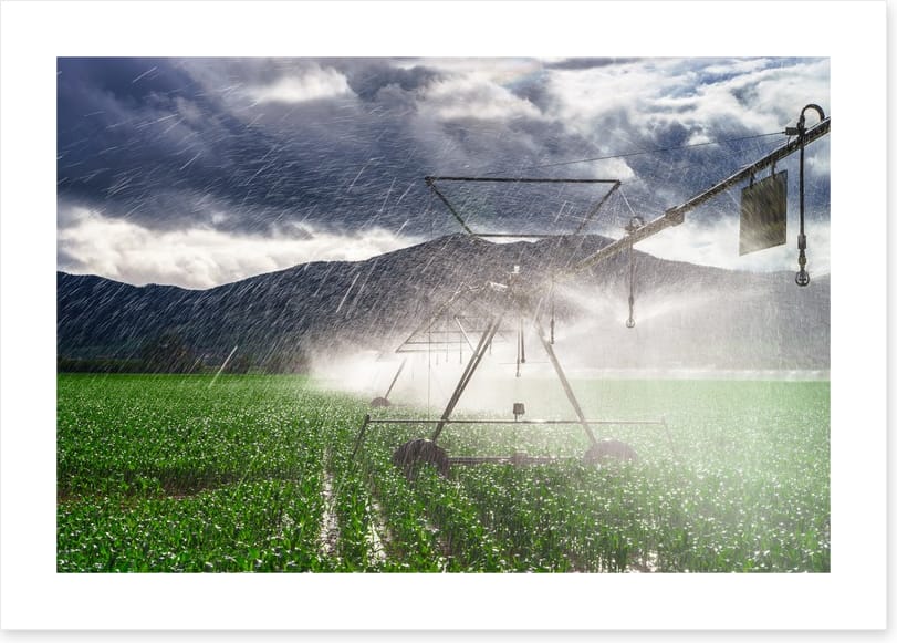 Agriculture