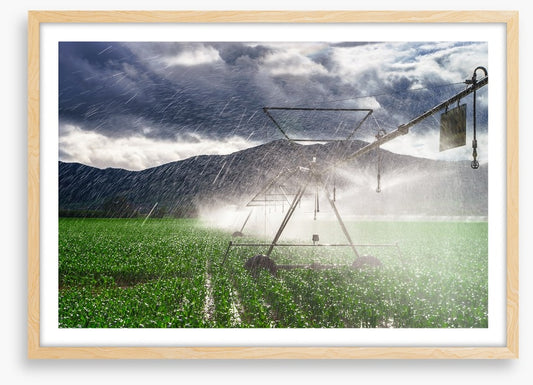 Agriculture