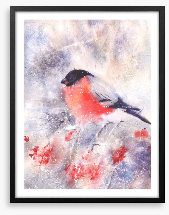 Bullfinch in the frost