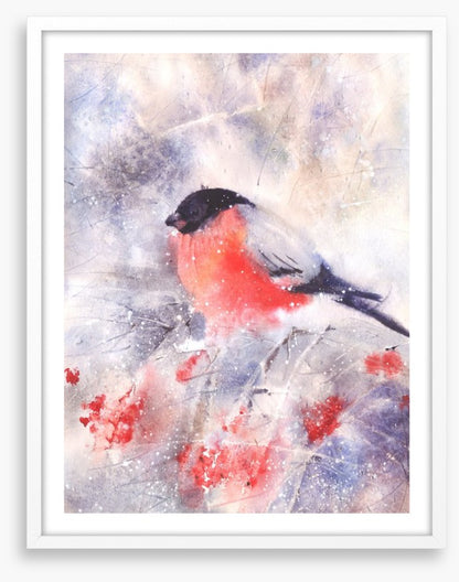 Bullfinch in the frost