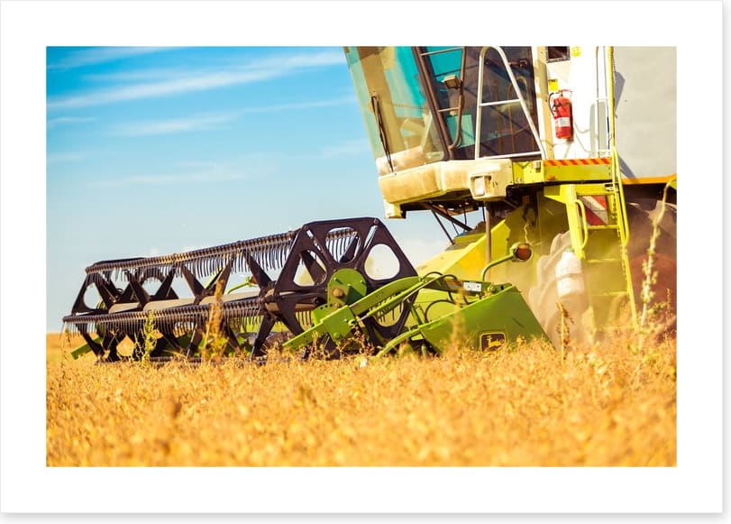 Agriculture