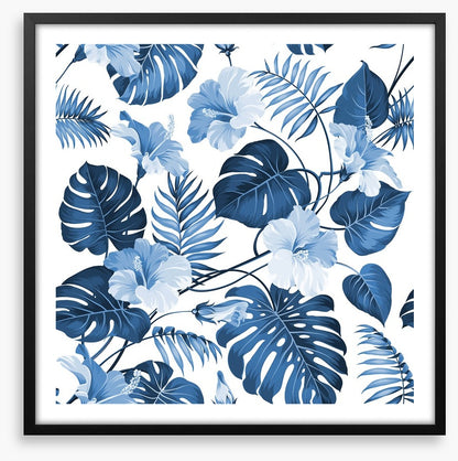 Hawaiian blues