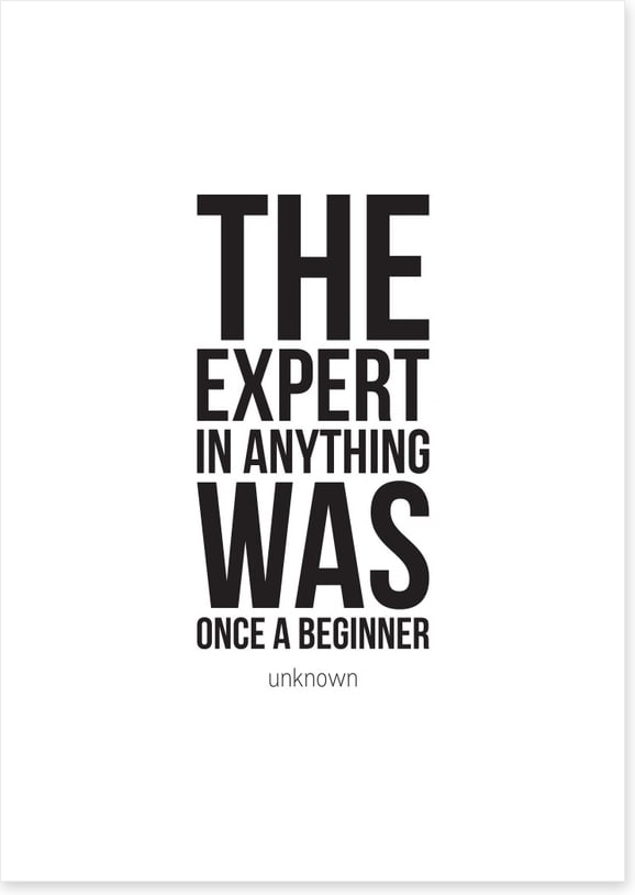 The expert