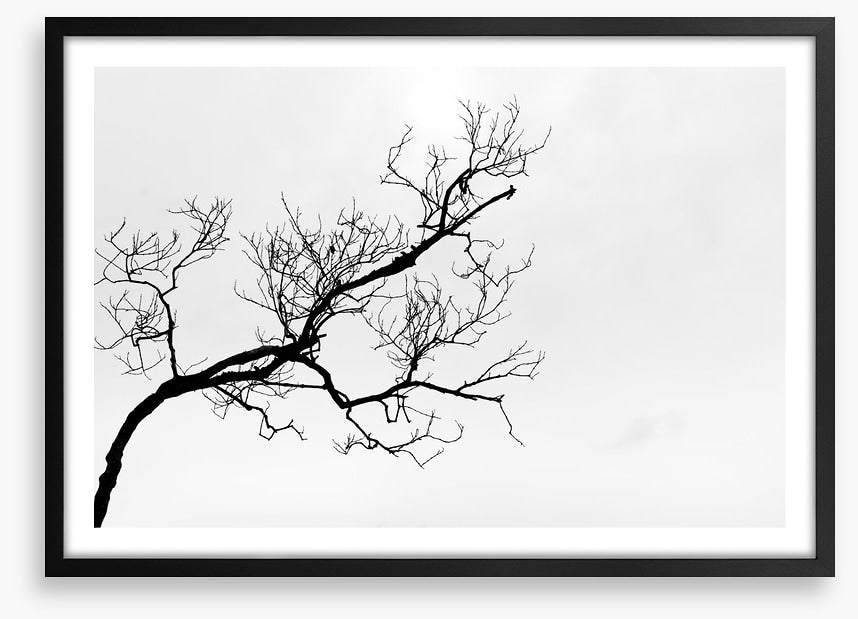 Branch right