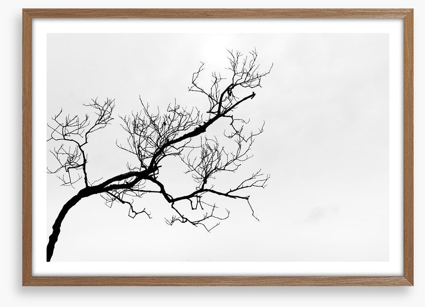 Branch right