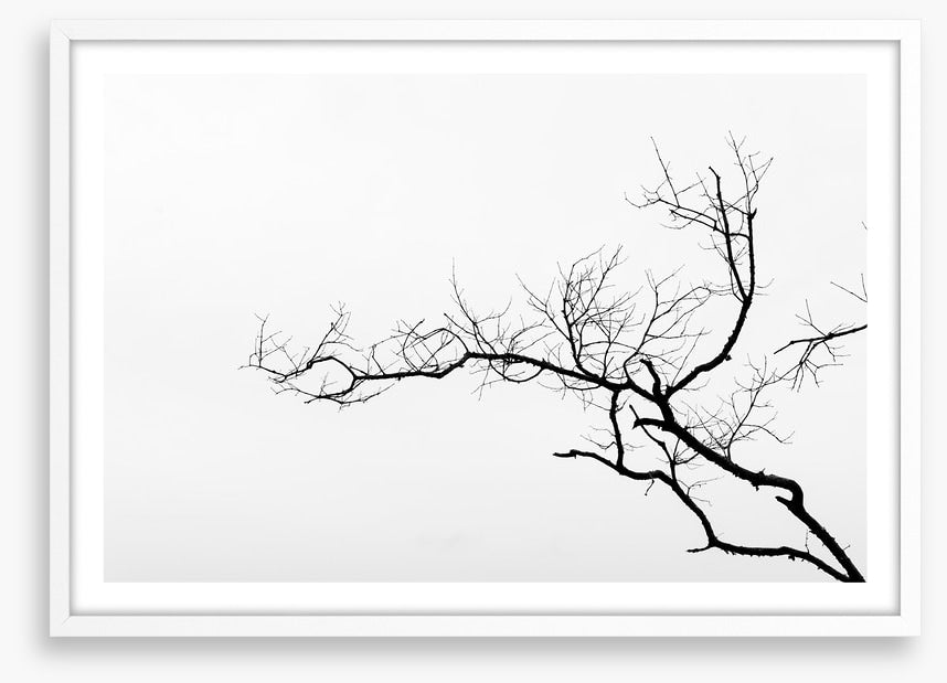 Branch left