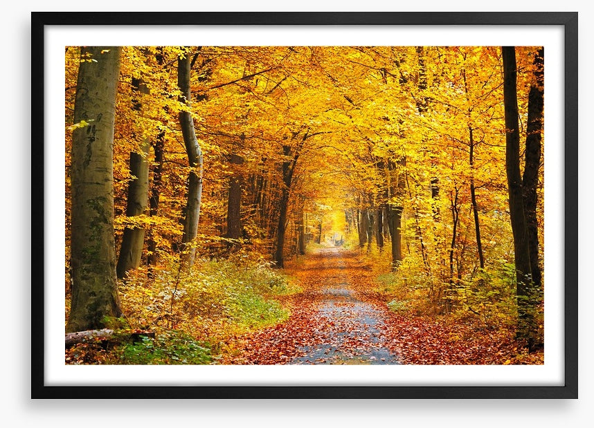Golden brown tree tunnel