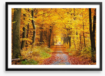 Golden brown tree tunnel