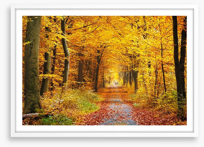 Golden brown tree tunnel
