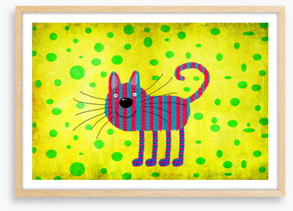 Striped cat with spots