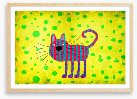 Striped cat with spots