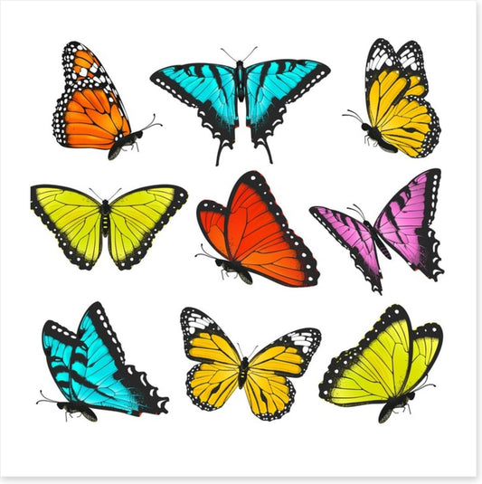 Butterflies