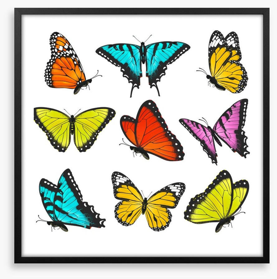 Butterflies