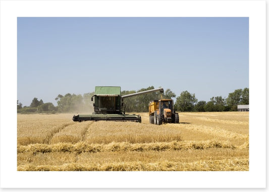 Agriculture