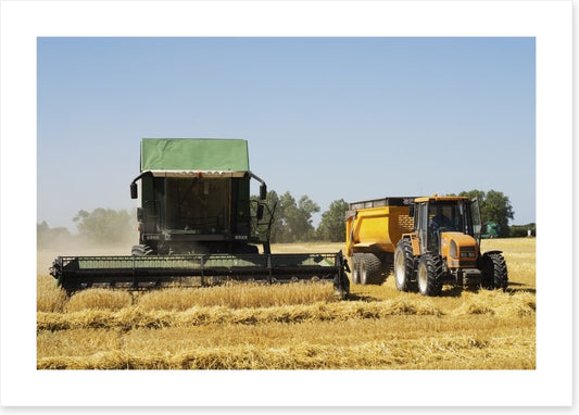 Agriculture