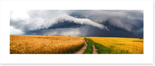 Storm in the rye