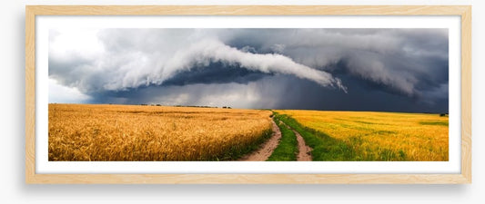Storm in the rye