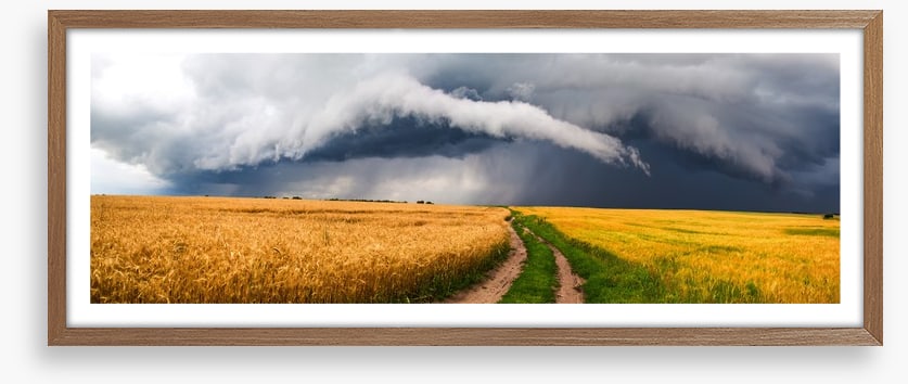 Storm in the rye