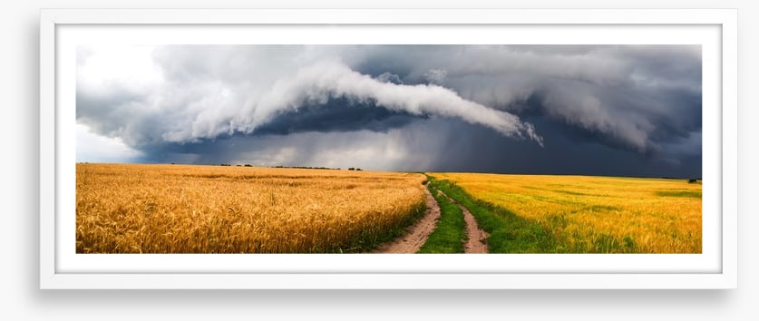 Storm in the rye