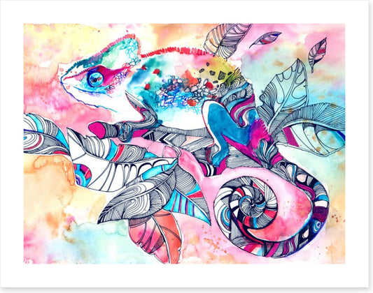 Colourful chameleon