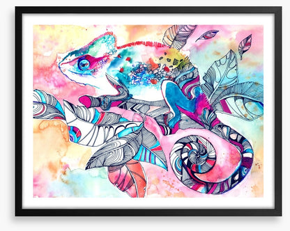 Colourful chameleon
