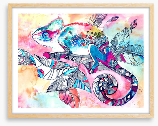 Colourful chameleon