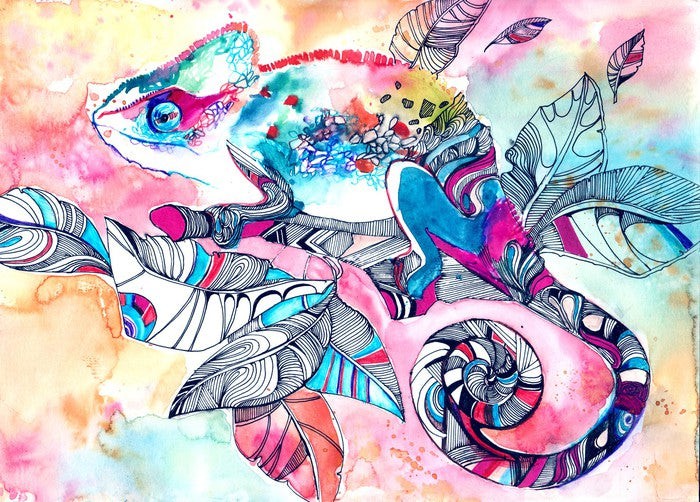 Colourful chameleon