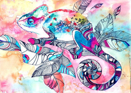 Colourful chameleon