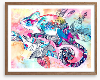 Colourful chameleon