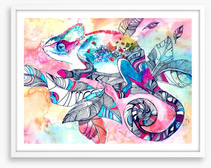 Colourful chameleon