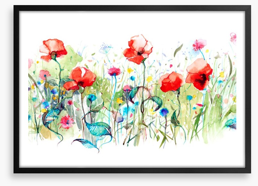 Wild poppies