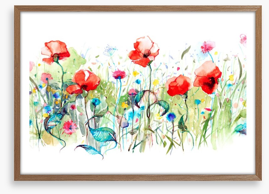 Wild poppies
