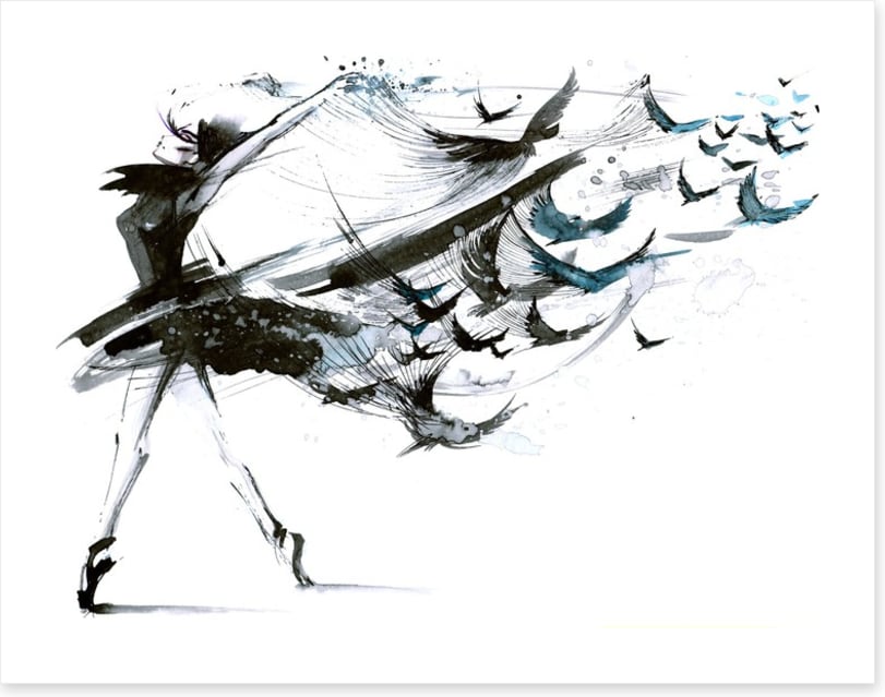 Ballet with birds