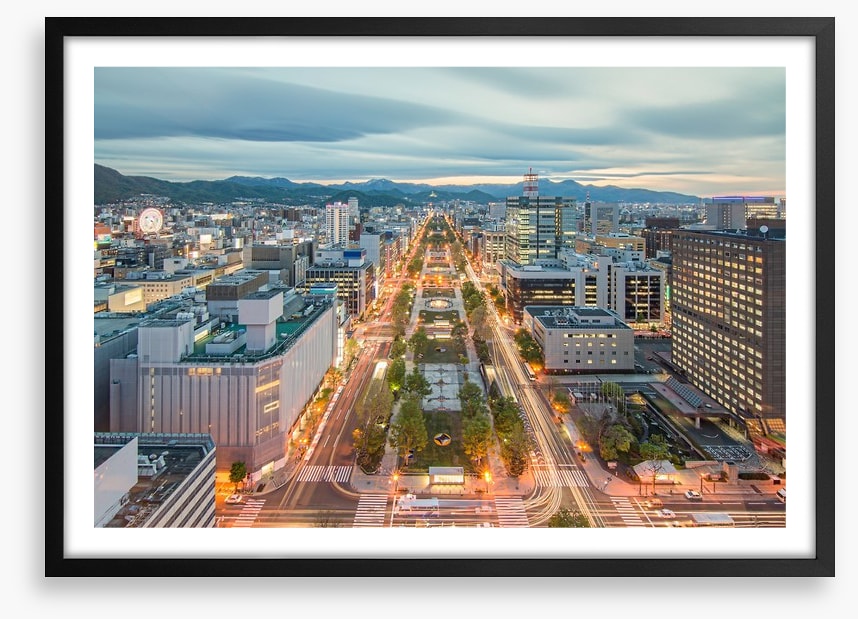 Sapporo skyline