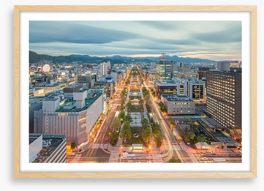 Sapporo skyline