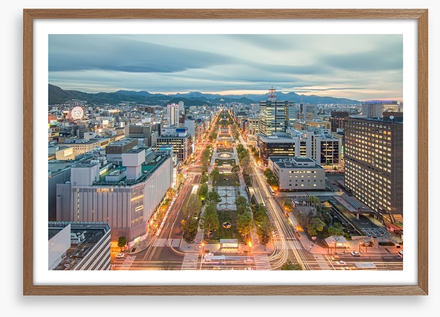 Sapporo skyline