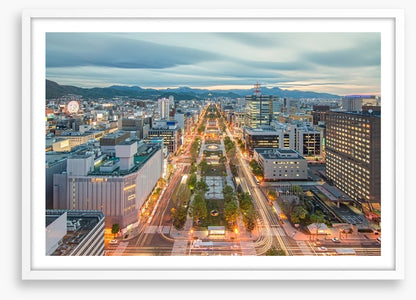 Sapporo skyline